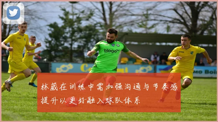 林葳在训练中需加强沟通与节奏感提升以更好融入球队体系