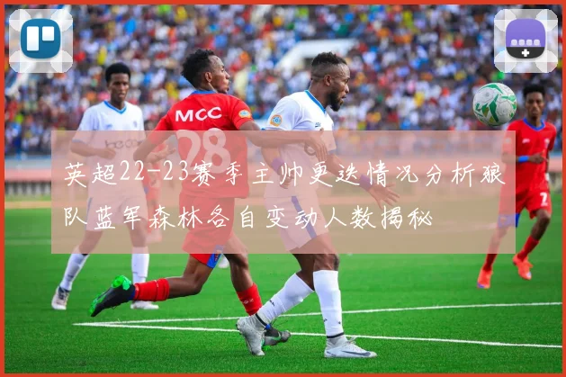 英超22-23赛季主帅更迭情况分析狼队蓝军森林各自变动人数揭秘