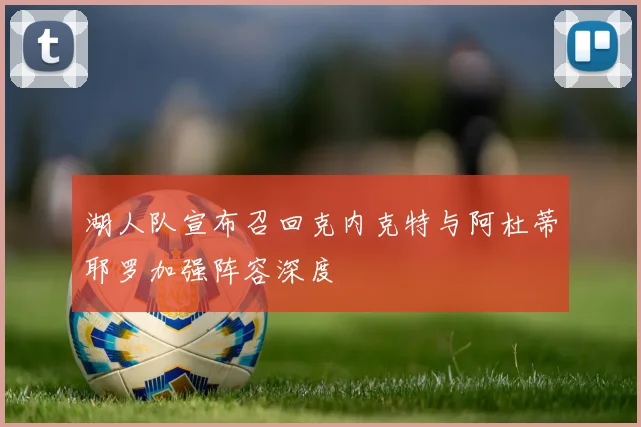湖人队宣布召回克内克特与阿杜蒂耶罗加强阵容深度